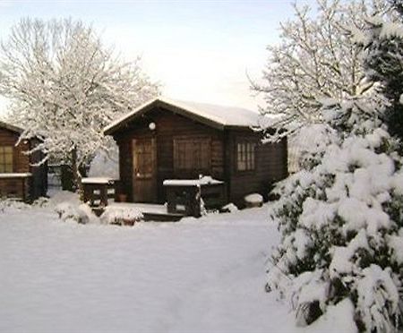 Robeanne House Holiday Accommodation Shiptonthorpe Exterior photo
